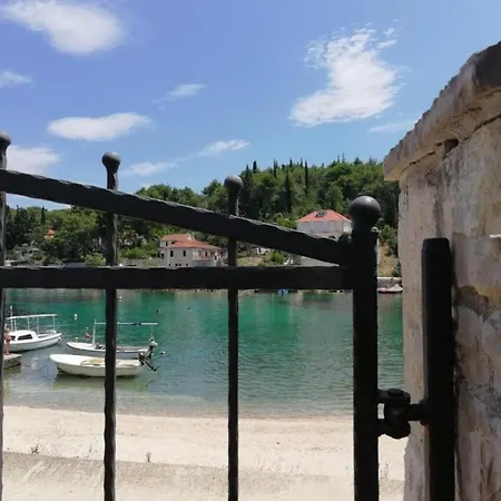 Primo * Rogač